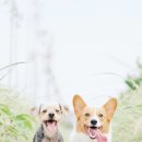 수락동물병원 이미지