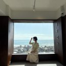 청사포로 128번길 | 부산 해운대 스카이캡슐 코스 추천 미포-청사포 카페, 소품샵, 호랑이젤라떡