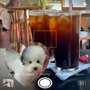 한나가스 | [3월 일상] 마치 흘러가는 바람처럼