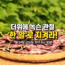 더위에 녹슨 관절,‘한 알’로 지켜라! [천기누설] 이미지