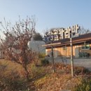 삼막골카라반펜션 이미지