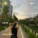 창신빌딩 | [2025] 9월 일상 : 반니 비스포크 계약, 우아르, 캠핑, 러닝 등 (9.1~9.30)