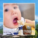 (주)한국푸드시스템 - 16460 | 11개월 아기 이유식 메뉴, 푸드케어 클레로 편식 예방하는 법