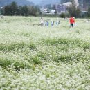 물빛정원펜션 이미지