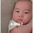 플랜티모어(plenty more) | "맨날 헷갈려요" 리를 vs 어리를 차이점 영어로? ‘Little’과 ‘A little’ 한 끗 차이 뉘앙스 완벽...