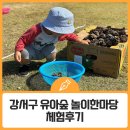 모라산림공원 | 강서구 유아숲 놀이한마당 체험후기
