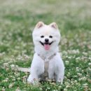 서교동물병원 이미지