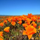 사랑의빛 이미지