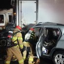 밀양대로 이미지