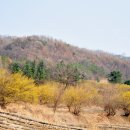 시골길 이미지