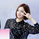 모두당 Daum카페