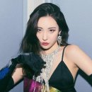 선미네 이미지