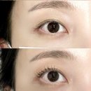 증산주유소 | 양산속눈썹펌잘하는곳 손 빠르게 완성된 또렷하지만 얇고 예쁜 틴팅펌 증산 속눈썹 맛집 와이엘라