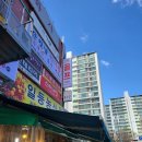 VSE 영 골프 이미지