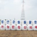 들풀이랑