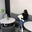 워시 앤 웍스 이미지