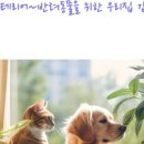 메모리아인테리어 이미지
