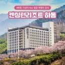 먼마루 벚꽃거리 문 | 하동 지리산 켄싱턴리조트 가성비 숙소 벚꽃 여행의 정석