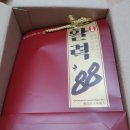 키위픽(KIWIPICK) | 부모님선물로 추천! 키위픽에서 주문해본 건강환 활력88로 원기회복과 활력증진을!