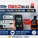 184 서울신문