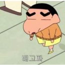 초롱태권도장 | 초이스태권도장 주말행사 / 힐링데이 / 초롱초등학교 / 두일초등학교 / 운정태권도 /초롱꽃마을태권도