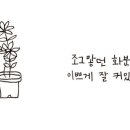 화분인간 이미지