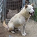 덕산축산 이미지