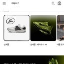 2722 | 나이키 페가수스 41 러닝화 후기(FD2722-701)