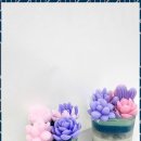 수원-0271 이미지