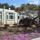 용남초등학교 Daum카페