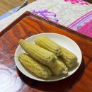 산내알프스펜션 | 경주 산내 알프스펜션 수영장이 있는 가족펜션 숙소 캠핑장