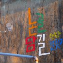 천곡방파제 이미지