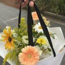 (자)태백소방 이미지