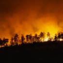 동양특수목재(주) 이미지