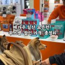 (주)큰사람유통 장수촌 | 메가주 일산 2025 오픈런 후기 [사료, 간식, 용품] 부스별 할인 가격 정리