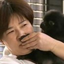 발꼬랑내 이미지