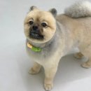 멍문살롱 이미지