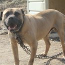 안양농장 이미지