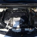 SHARK MOTOR OIL 이미지