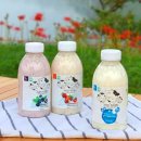 채운목장 이미지