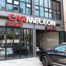 카멜레온 디테일 이미지