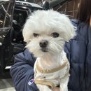 서문세차장 이미지