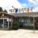 지도유리