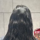 최은지미용실 네이버블로그