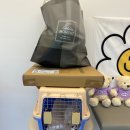 베베독 강아지분양 대구본점 이미지