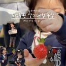 바닷가농원 | 경주 양남 딸기체험 도영농원 아이랑 가기좋은 경주 체험장 (예약, 비용, 체험 총정리)