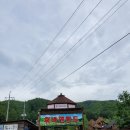 오션월드 갔다가 가볼만한 곳 - 휘바핀란드 양떼목장, 홍천 펜션, 맛집, 카페 후기