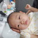 트루디헤어 - 동해시 | 아기바디워시 트루디 바디워시앤샴푸 이탈리아에서 물건너 온 신생아 바디워시 후기