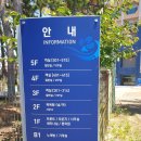 완도 파인비치 호텔 네이버블로그