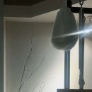 플리체필라테스스튜디오